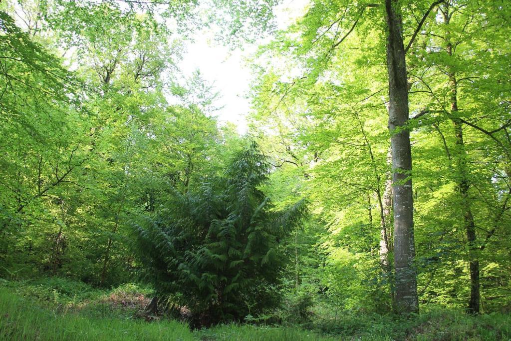 Albert Premier Hotel Bagnoles-de-l'Orne Zewnętrze zdjęcie
